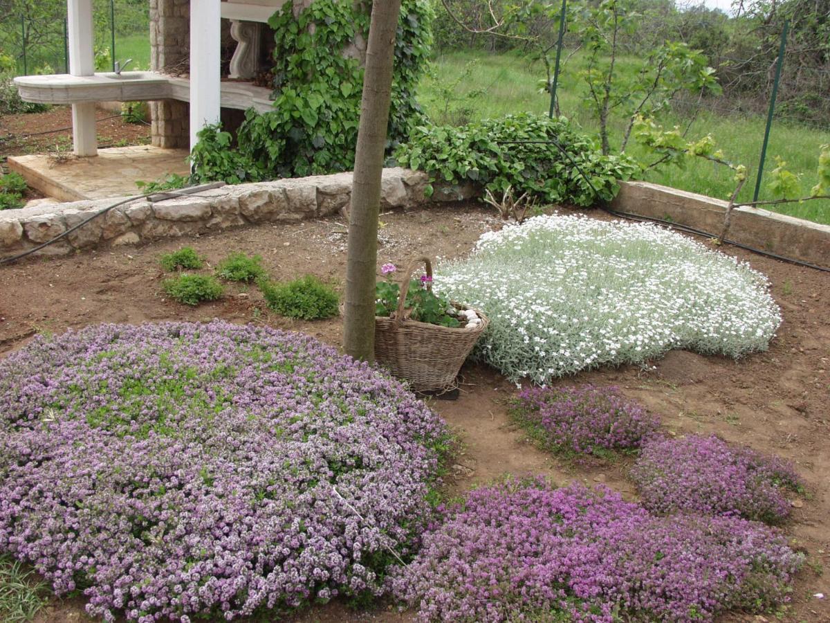 Holiday House "Lea" Lukoran Zewnętrze zdjęcie